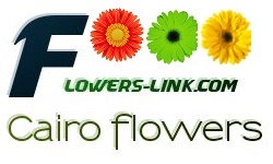 Flowers-link Cairo florist