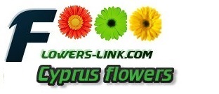 Cyprus flower shop