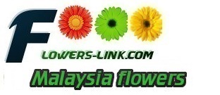 Malaysia flower shop