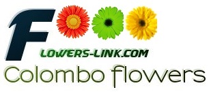 Flowers-link Colombo florist