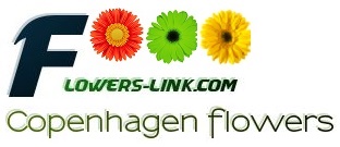 Flowers-link Copenhagen florist