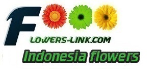 Indonesia flower shop