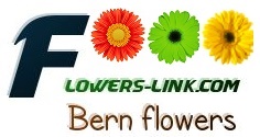 Flowers-link Bern, Zurich florist
