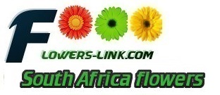 South Africa flower shop