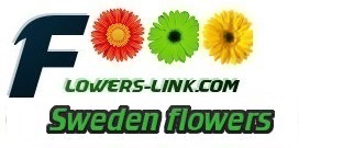 Sweden flower shop